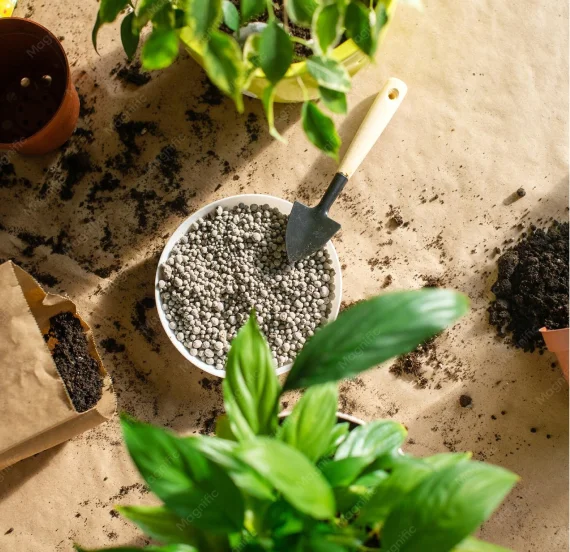 Ceramic Pots